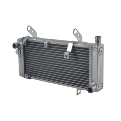 1Worley Aluminum Radiator Fits Suzuki SV1000 SV1000S SV 1000 S 2003-2008 07 06 2005 2004