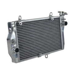3Worley Aluminum Radiator For Honda CBR1100XX Super Blackbird Fuel Injected 1997-2003 1998 1999 2000 2001 2002