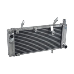 4Worley Aluminum Radiator Fits Suzuki SV1000 SV1000S SV 1000 S 2003-2008 07 06 2005 2004