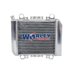 4Worley Aluminum Radiator For Kawasaki Ninja EX250 EX 250 1988-2007 1989 1990 1991 1992 1993 1994 1995