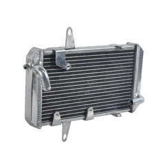 Worley Aluminum Radiator For ATV CanAm DS450 Can Am DS 450 2008 2009 2010 2011 2012