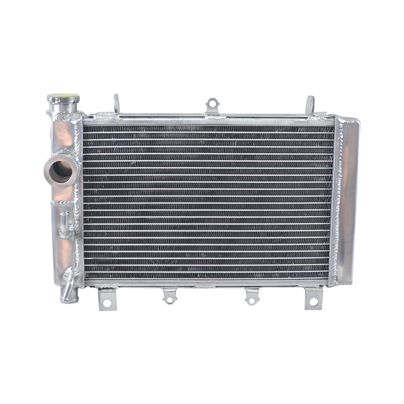 Wolrey Aluminum Radiator Fits Triumph TT 600 TT600 2000-2003 2001 2002