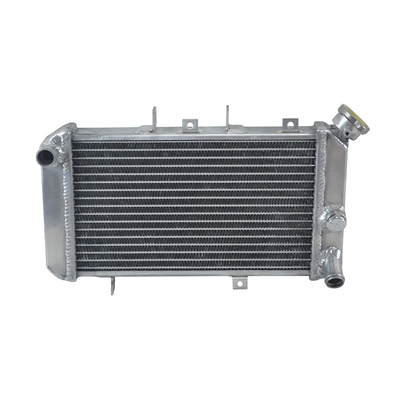Worley Aluminum Radiator For2011-2017 HYOSUNG GT650R GT650 GT 650R 2012 2013 2014 2015 2016