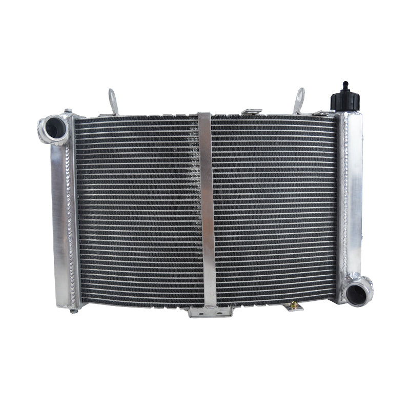 Worley Aluminum Radiator For 1090/1190 Adventure R 2014-2016;1290 Super Adventure 2016-2020