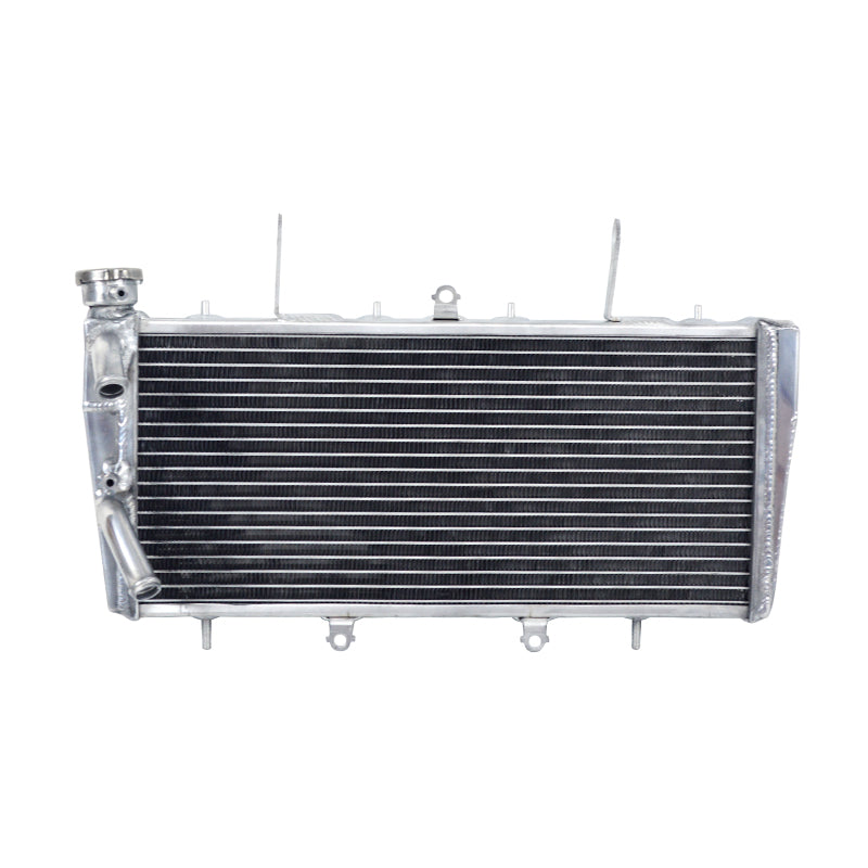 Worley Aluminum Radiator For 1999 2000 2001 2002 2003 2004 Triumph Sprint ST 955I
