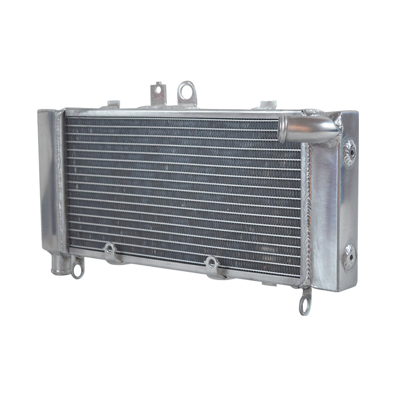 Worley Aluminum Radiator For 2002-2007 Honda CB900F Hornet 900 CB919F 919 SC48 2003 2004 2005