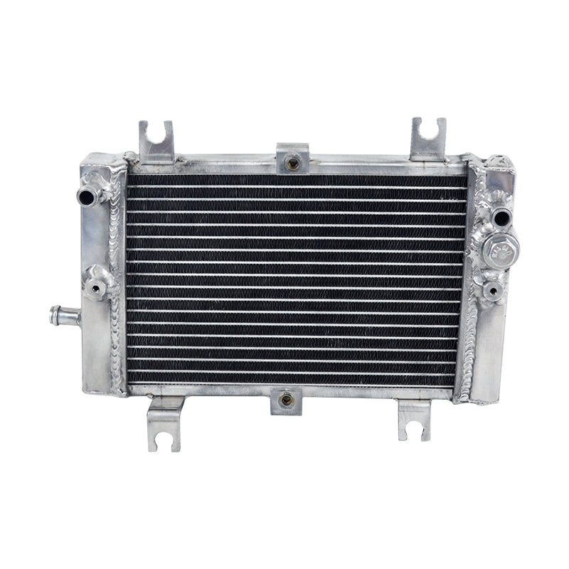 Worley Aluminum Radiator For Can Am CAN-AM Bombardier DS250 DS 250 2006-2012 2007 2008 2009 2010 2011