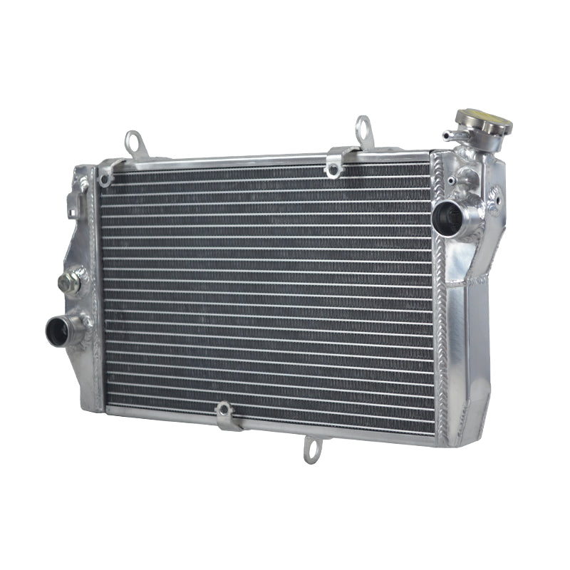 Worley Aluminum Radiator For Honda CBR1100XX Super Blackbird Fuel Injected 1997-2003 1998 1999 2000 2001 2002