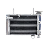 Worley Aluminum Radiator For Honda CBR150 CBR 150 2002 2003 2004 2005