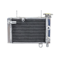Worley Aluminum Radiator For Honda CBR150 CBR 150 2002 2003 2004 2005