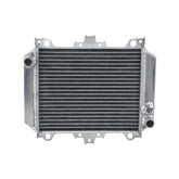 Worley Aluminum Radiator For KAWASAKI NINJA EX500R EX 500 1987 1988 1989 1990 1991 1992 1993