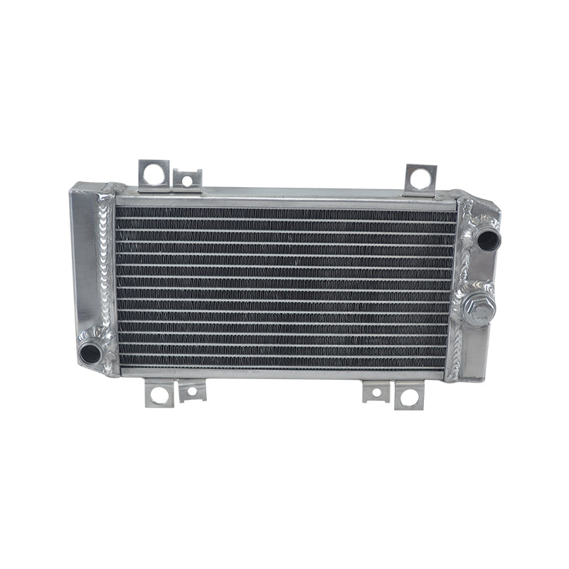 Worley Aluminum Radiator For KAWASAKI Ninja EX250 EX 250 2008-2012 2009 2010 2011