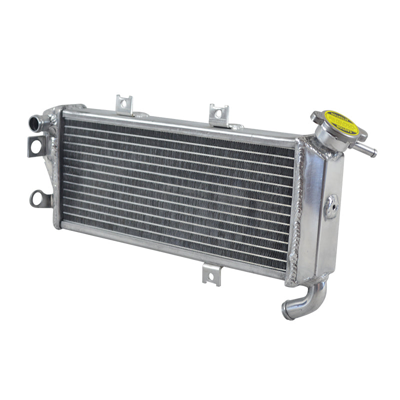 Worley Aluminum Radiator For Kawasaki EX650 Ninja 650 EX 650 2012-2016 2013 2014 2015