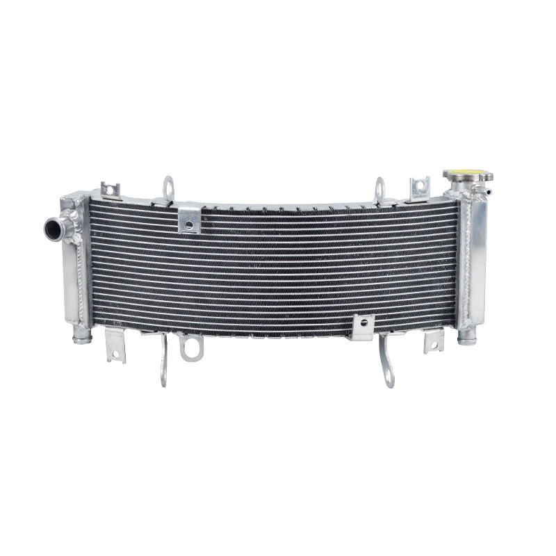 Worley Aluminum Radiator For SUZUKI TL1000R TL1000 1998 1999 2000 2001 2002 2003