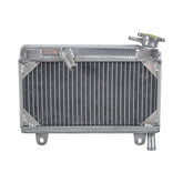 Worley Aluminum Radiator For Suzuki GAMMA RG250 RG 250 GJ21A RG-250 1983-1988 1984 1985