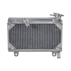 Worley Aluminum Radiator For Suzuki GAMMA RG250 RG 250 GJ21A RG-250 1983-1988 1984 1985