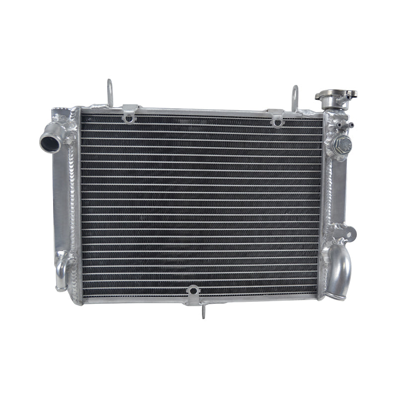 Worley Aluminum Radiator For Yamaha YZF-R6 R6 1999-2002 2000 2001 99 00 01 02