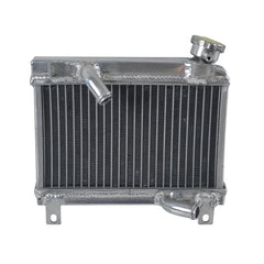 Worley Aluminum Radiator For Suzuki RG125 Gamma/Wolf 1986-1999 1987 1988 1989