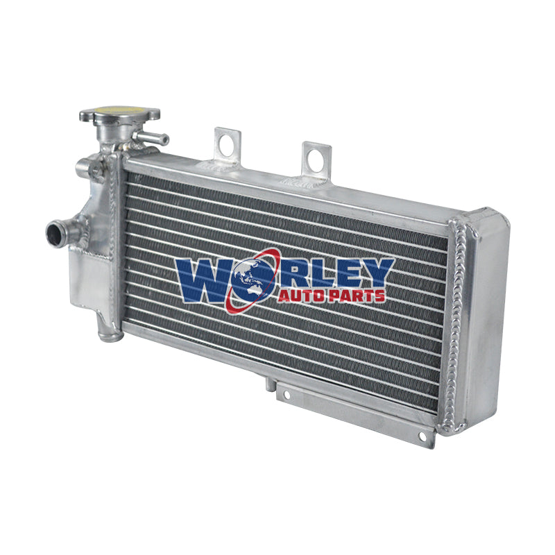 2Wolrey Aluminum Radiator Fit BMW G 650 Xchallenge Xcountry Xmoto K15 2007-2009 2008