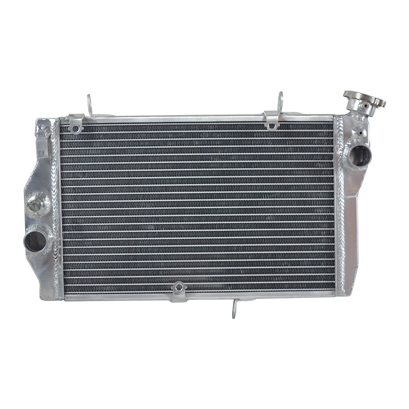 2Worley Aluminum Radiator For Honda CBR1100XX Super Blackbird Fuel Injected 1997-2003 1998 1999 2000 2001 2002