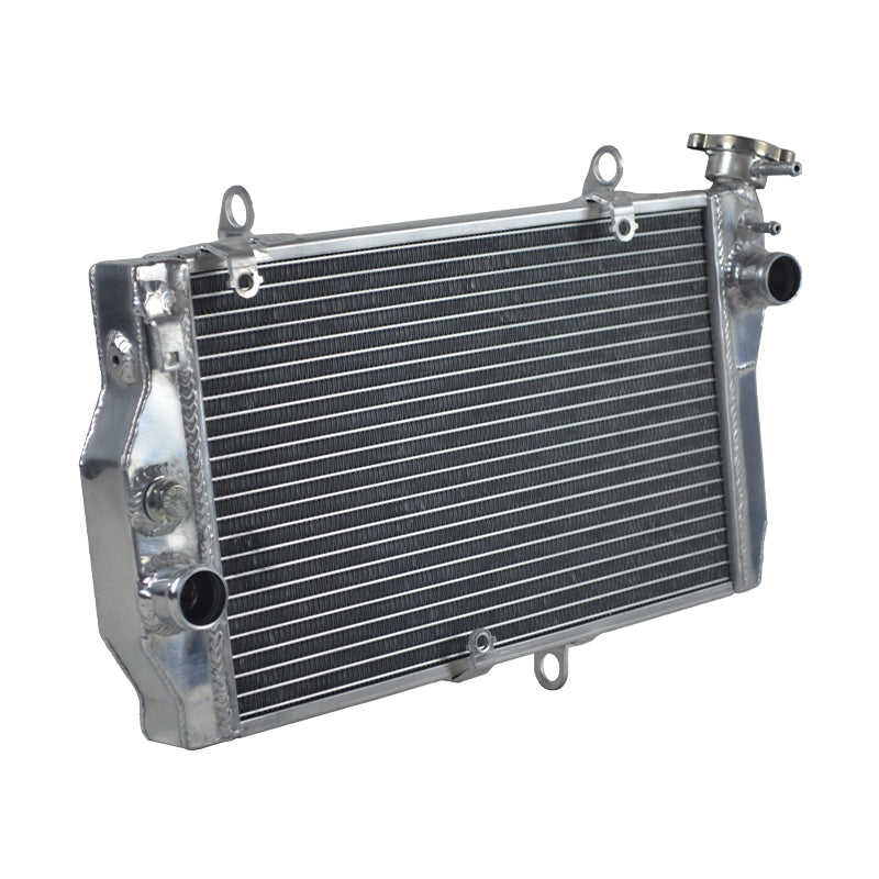 3Worley Aluminum Radiator For Honda CBR1100XX Super Blackbird Fuel Injected 1997-2003 1998 1999 2000 2001 2002