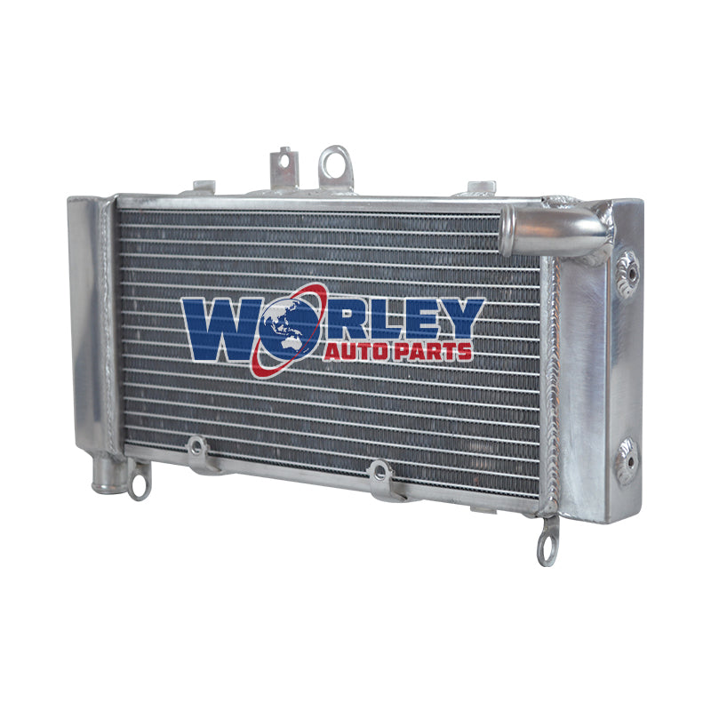 4Worley Aluminum Radiator For 2002-2007 Honda CB900F Hornet 900 CB919F 919 SC48 2003 2004 2005