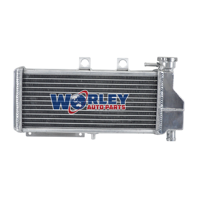 5Wolrey Aluminum Radiator Fit BMW G 650 Xchallenge Xcountry Xmoto K15 2007-2009 2008