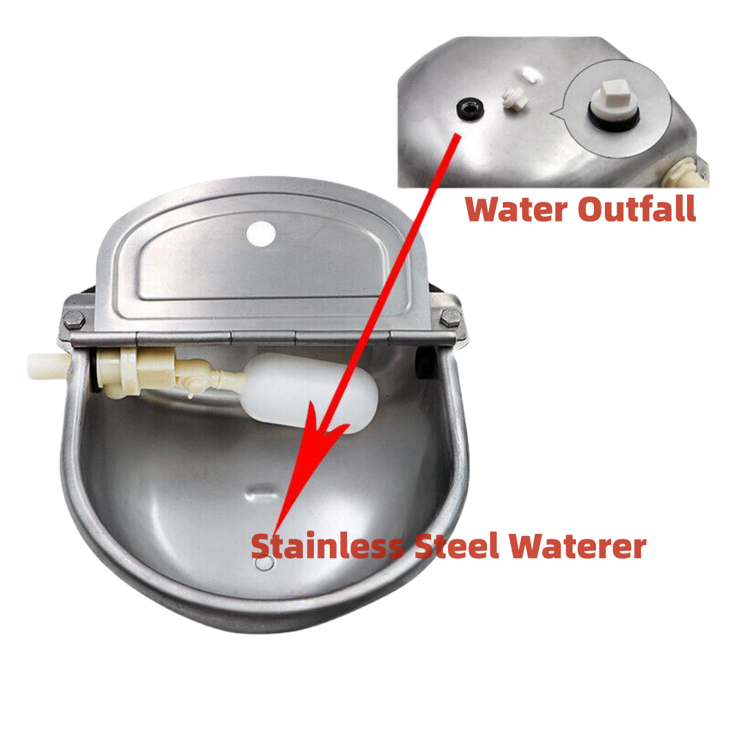Automatic Water Trough Stainless Steel Sheep Dog Chicken Cow Auto Fill Bowl2