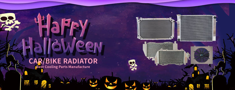 car radiator bset Halloween gift2