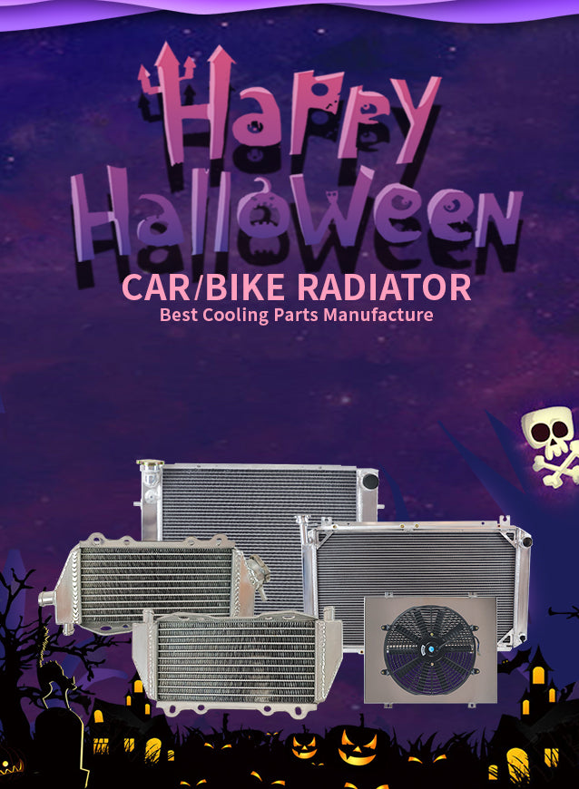 car radiator bset Halloween gift2